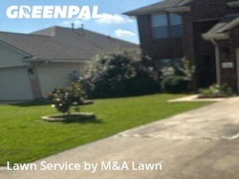 Yard Cutting nearby Dickinson, TX, 