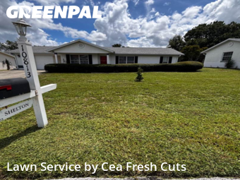 Lawn Cutting nearby Ocala, FL, 