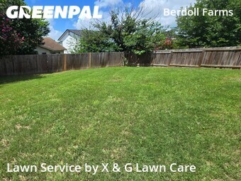 Grass Cutting nearby Austin, TX, 