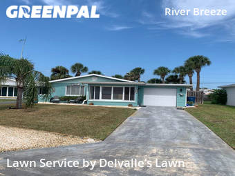 Grass Cut nearby Ormond Beach, FL, 