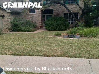 Yard Cutting nearby Cedar Park, TX, 