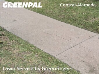 Landscaping Cleanup In Los Angeles,90011,Landscaping Renovation by Greenfingers , work completed in Jun , 2026
