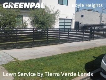 Work completed by lawn-care-experts-near-me-in-Los Angeles-CA