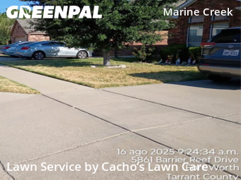 Lawn Cutting nearby Fort Worth, TX, 