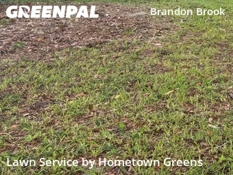 Lawn Care Service nearby Valrico, FL, 