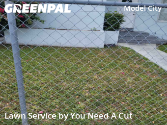 Grass Cutting nearby Miami, FL, 