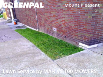 Yard Cutting nearby St. Louis, MO, 