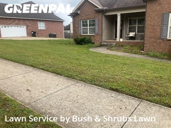 Lawn mowed in Fairview, 37062