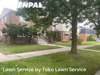 Lawn Service nearby Hammond, IN, 