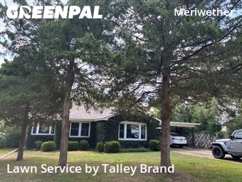 Yard Cutting nearby Little Rock, AR, 