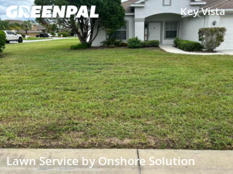 Lawn Cutting nearby Holiday, FL, 