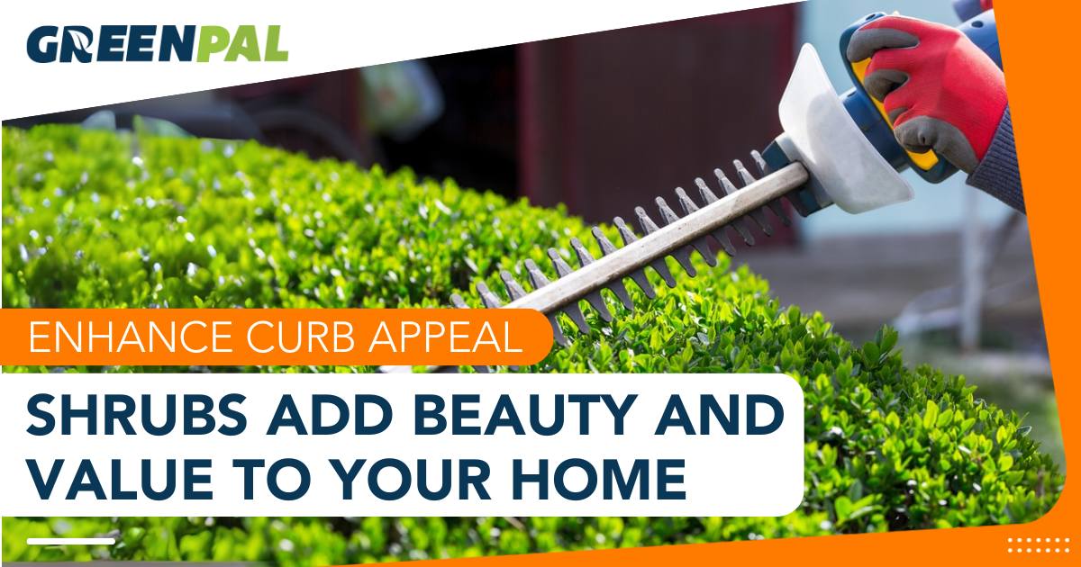 The Ultimate Guide To Trimming Your own Bushes | GreenPal