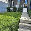 Lawn Love Lawn Care of Washington DC 4