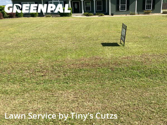 Lawn Mow nearby Sparks, GA, 