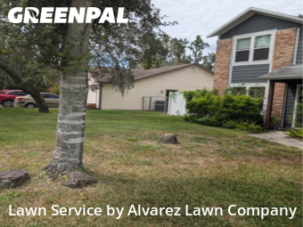 Yard Mowingin Pine Hills,32818,Yard Mowing by Alvarez Lawn Company, work completed in Dec , 2025