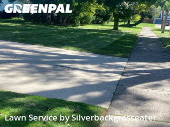 Lawn Care Service nearby Southfield, MI, 