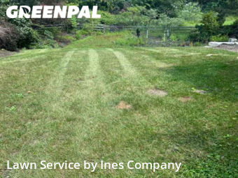 Lawn Care Service nearby Downers Grove, IL, 