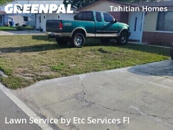 Grass Cut nearby Holiday, FL, 
