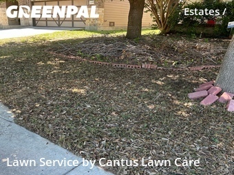 Lawn Mowing nearby San Antonio, TX, 