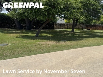 Grass Cutting nearby Round Rock, TX, 