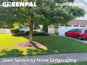 Grass Cutting nearby Charlotte, NC, 