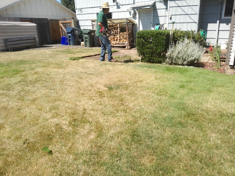 affordable-grass-cutting-businesses-in-Aloha-OR