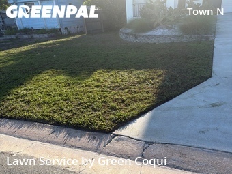 Grass Cutting nearby Tampa, FL, 