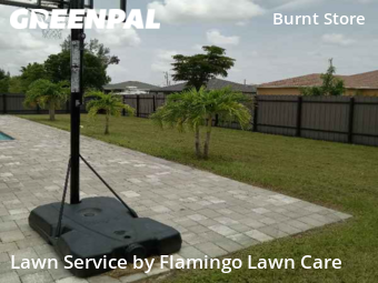 Lawn Mow nearby Cape Coral, FL, 