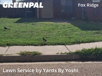 Landscaping Renovation In Lubbock,79423,Landscaping Installation by Yards By Yoshi, work completed in Jun , 2026