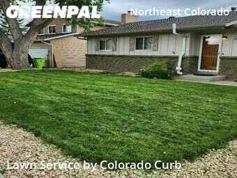 Lawn Cut nearby Colorado Springs, CO, 