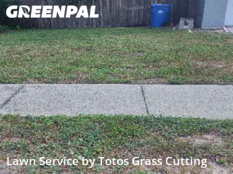 Lawn Carein Ocoee,34761,Lawn Mowing Service by Totos Grass Cutting, work completed in Nov , 2025