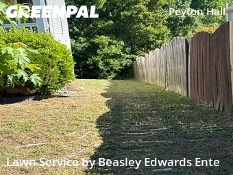 Lawn Care Service nearby Raleigh, NC, 