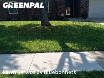 Yard Cutting nearby Round Rock, TX, 