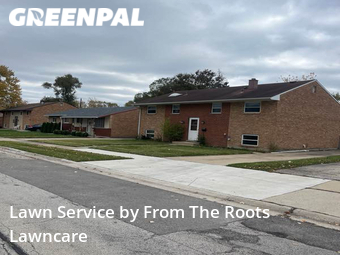 Grass Cutting nearby Glendale Heights, IL, 