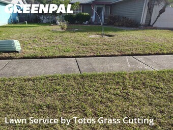 Yard Mowing nearby Apopka, FL, 