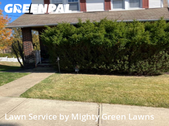 Lawn Care nearby Pittsburgh, PA, 