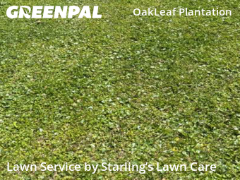 Lawn Care nearby Orange Park, FL, 