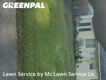 Lawn Service nearby Pearl, MS, 