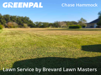 Lawn mowed in Merritt Island, 32953