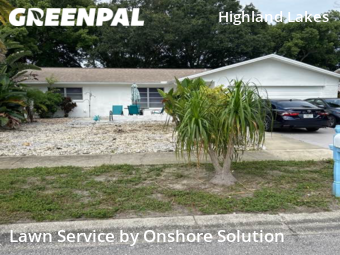 Yard Mowing nearby Palm Harbor, FL, 