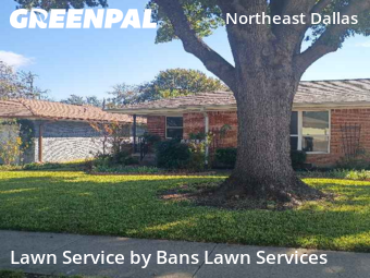 Lawn Cut nearby Dallas, TX, 