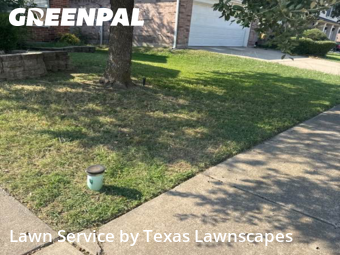 Lawn Cuttingin Wylie,75098,Lawn Cut by Texas Lawnscapes, work completed in Nov , 2025
