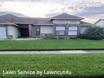 Grass Cut nearby Brandon, FL, 