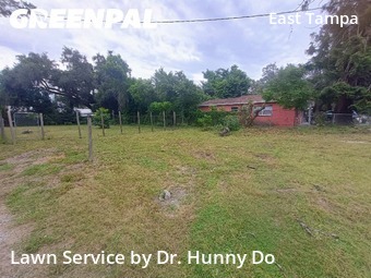 Lawn Cutting nearby Tampa, FL, 