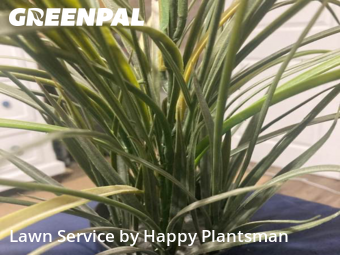 Lawn Mowing nearby Mason, OH, 