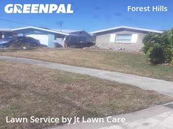 Lawn Cut nearby Holiday, FL, 