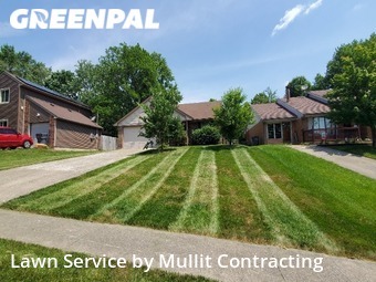 Lawn Cut nearby Lexington, KY, 