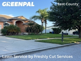 Grass Cut nearby Valrico, FL, 