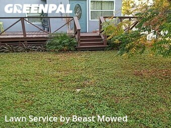 Yard Mowing nearby Tampa, FL, 