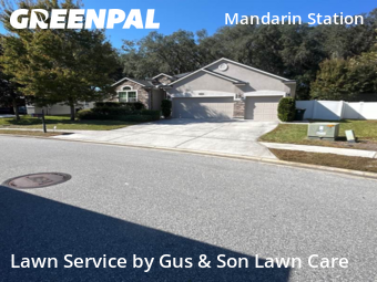 Grass Cut nearby Jacksonville, FL, 